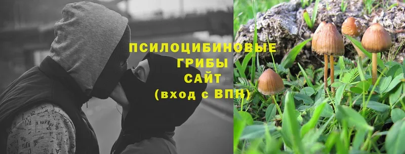 Галлюциногенные грибы MAGIC MUSHROOMS  Крым 